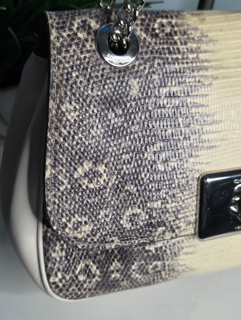 Coach Cassidy Lizard-Embossed Chain Convertible Bag - Off White/Gray Gradient - Picture 3 of 16
